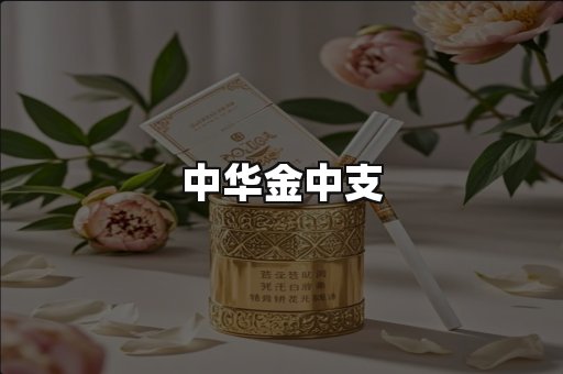 中华金中支